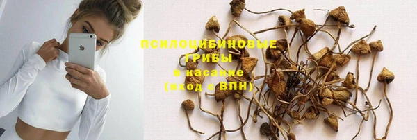 сатива Михайлов