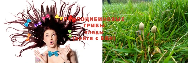 дурь Балахна