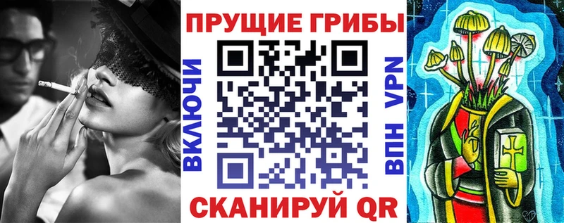 Псилоцибиновые грибы GOLDEN TEACHER  Пятигорск 
