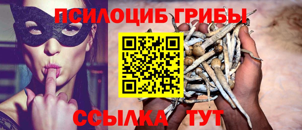 Пятигорск  купить наркотик  Вход с VPN  Галлюциногенные грибы GOLDEN TEACHER 